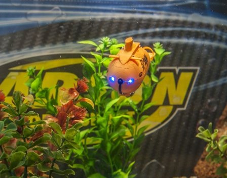 Carson Rc Xs Deep Sea Dragon 100% Rtr Orange