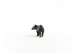 EAN 4059433454061 - schleich Vida Salvaje 14851 figura de juguete para niños imagen 3