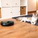 EAN 8435484095624 - Cecotec Pumba 1600 Purrfect Meal comedero y bebedero para perro y gato Negro Comedero automático para mas imagen 9