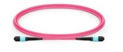 EAN 5715063536353 - Lanview LVO230410-MTP-2XS Cable de fibra óptica e InfiniBand 10 m Violeta imagen 1