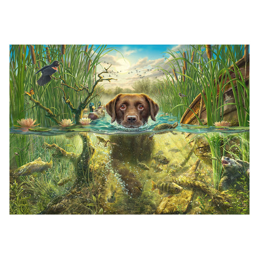 EAN 4001504585723 - Schmidt® Spiele 58572 puzzle Puzzle rompecabezas 1000 pieza(s) imagen 1