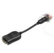 EAN 5704327594161 - HP 484156-001 adaptador de cable de vídeo DVI-D DisplayPort Negro imagen 1