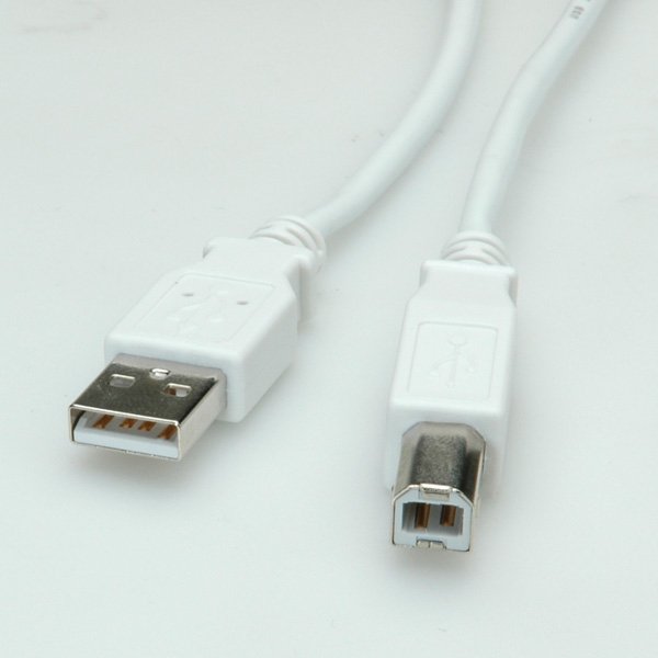 EAN 7611990189229 - VALUE 11.99.8841 cable USB USB 2.0 4,5 m USB A USB B 0,48 Gbit/s Blanco imagen 1