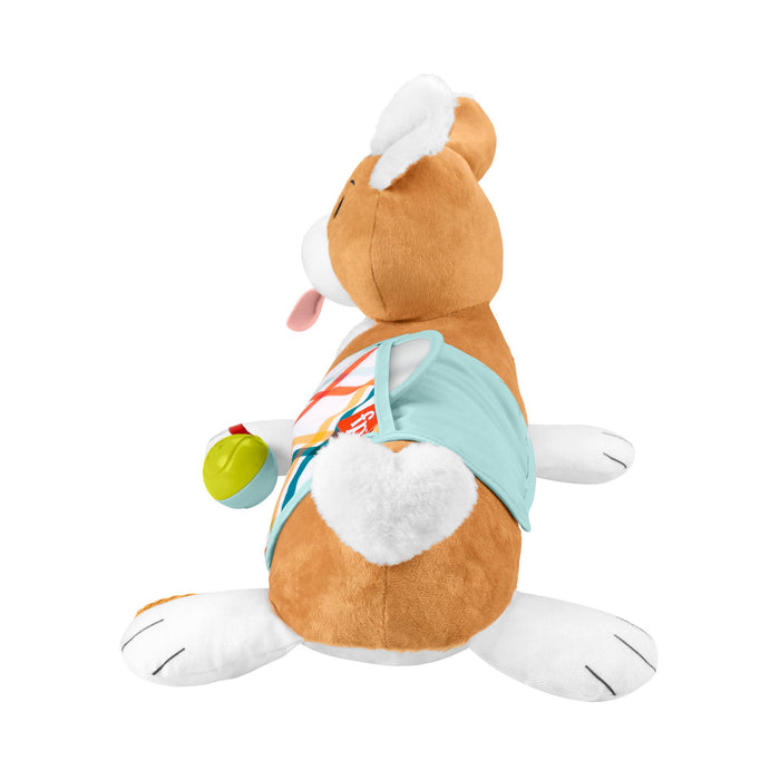 EAN 0194735095896 - Fisher-Price HJW10 juego educativo imagen 4