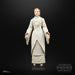 EAN 5010994179328 - Star Wars The Black Series F55305X0 toy figure imagen 10