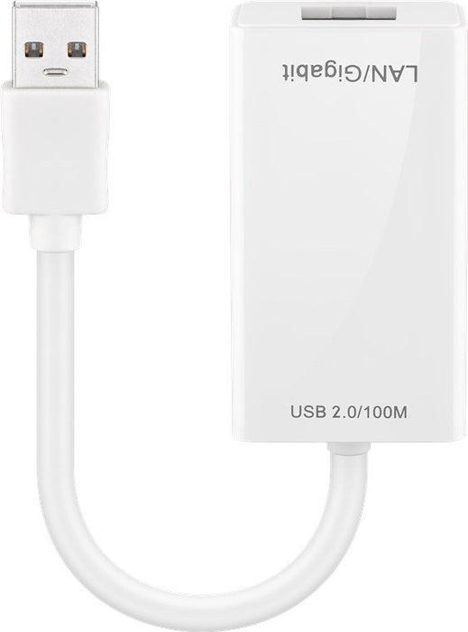 EAN 4040849950353 - Goobay 95035 tarjeta y adaptador de interfaz RJ-45 imagen 1