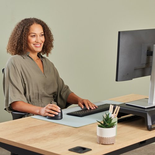 Ratón Fellowes 100143579 Bluetooth Usb Type-C 1600 Dpi Negro Ergonómico Vertical