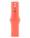 EAN 0195950241464 - Apple MDRT4ZM/A Accesorios para dispositivos vestibles inteligentes Grupo de rock Naranja Fluoroelastómer imagen 1