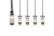 EAN 4016032484998 - Digitus DN-81323 Cable de fibra óptica e InfiniBand SFP+ 4x QSFP+ Negro imagen 3