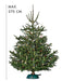 EAN 4011972941358 - Krinner Premium L imagen 3