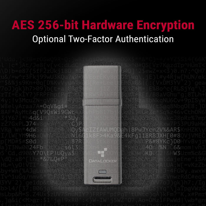 Datalocker Dl Go 256bit - Flash-Memoria - Sin Clasificar Dlgo-004 - Flash-Memoria - Sin Clasificar