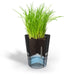 EAN 4006664189200 - GEFU BOTANICO Maceta para hierbas aromáticas Independiente Plástico, Acero inoxidable Negro imagen 5