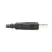 EAN 0037332222107 - Tripp Lite U009-006-RJ45-X cambiador de género para cable RJ-45 USB 2.0 Type-A imagen 5