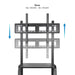 EAN 8433281013780 - TooQ Coloso 2,54 m (100") Negro imagen 3