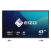 EAN 4995047067450 - EIZO FlexScan EV4340X-BK pantalla para PC 108 cm (42.5") 3840 x 2160 Pixeles 4K Ultra HD LCD Negro imagen 1