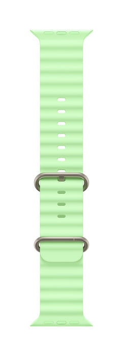 EAN 0195950648317 - Apple Natural Titanium Finish Grupo de rock Verde Fluoroelastómero, Titanio imagen 1