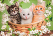 EAN 8005125248209 - Clementoni 24820 puzzle imagen 2