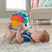 EAN 194735000265 - Fisher-Price HBP42 juguete de peluche imagen 5
