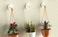 EAN 4048962325447 - Fischer 545950 gancho para almacenamiento Interior Gancho universal Blanco 1 pieza(s) imagen 4