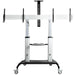 EAN 0065030891653 - StarTech.com STNDMTVDUO soporte para TV 152,4 cm (60") Negro, Plata imagen 2