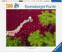EAN 4005555017073 - Ravensburger Ein Meer aus Rot Puzzle rompecabezas 500 pieza(s) Arte imagen 1