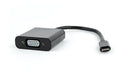 EAN 8716309100021 - Gembird AB-CM-VGAF-01 Adaptador gráfico USB 1920 x 1080 Pixeles Negro imagen 1