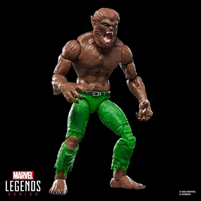 EAN 5010996317360 - Marvel Legends Series Werewolf By Night imagen 5