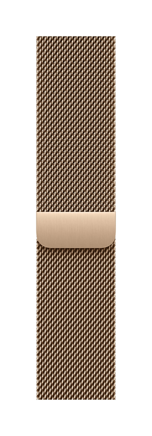 EAN 0195950659597 - Apple MGHW4ZM/A Accesorios para dispositivos vestibles inteligentes Grupo de rock Oro Acero inoxidable imagen 1