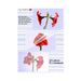 EAN 4030152091768 - Olympia 1x100 DIN A4 125 micron plastificador 100 pieza(s) imagen 1