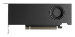 EAN 3536403404185 - PNY RTX PRO 4000 Blackwell NVIDIA 24 GB GDDR7 imagen 1
