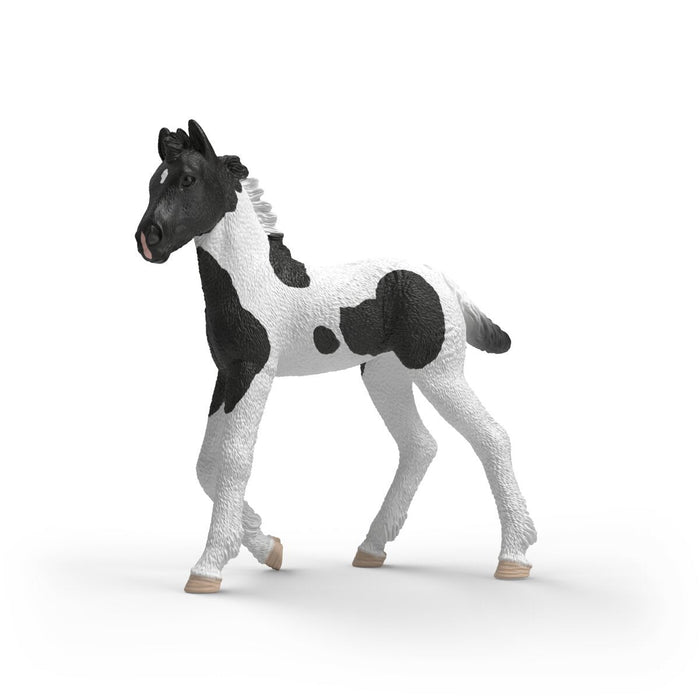 Schleich Horse Club Sammelfohlen Rocky 81481