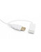 EAN 3760170880617 - Urban Factory AKB69UF teclado Médico USB QWERTY Español Blanco imagen 6