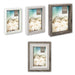 EAN 8020912063254 - ZEP Trilogy 3 Marco digital Marrón, Gris, Blanco imagen 1