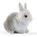 EAN 4059433040820 - schleich FARM WORLD 42500 set de juguetes imagen 8