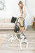 EAN 8590393303540 - Eta Grande Animal 2223 90000 3,2 L Aspiradora cilíndrica Secar 850 W Sin bolsa imagen 27