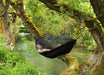 EAN 4030454005357 - AMAZONAS Moskito-Traveller EXTREME Hamaca colgante 1 personas(s) Nylon Negro imagen 5