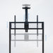 EAN 8433281014848 - TooQ iStar 2,54 m (100") imagen 5