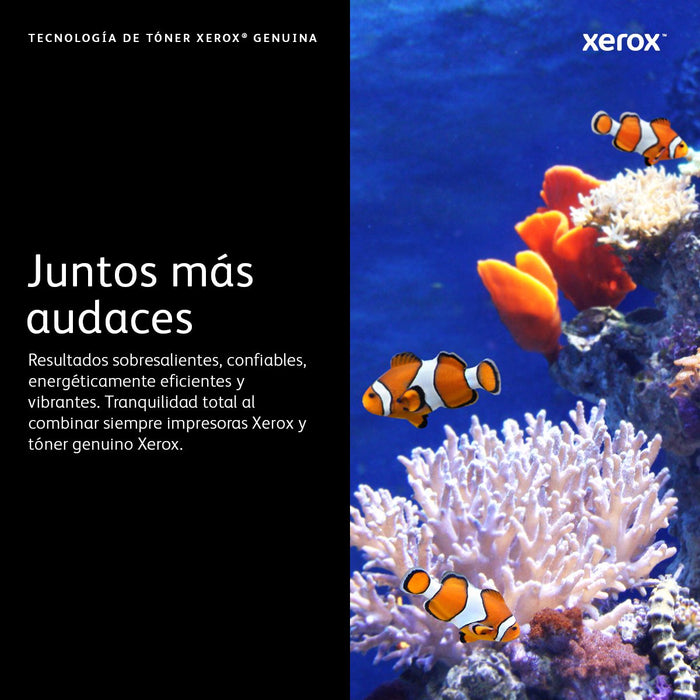 Xerox Toner Dmo B310 B310 Dni Negro Negro (006r04380) (8k)