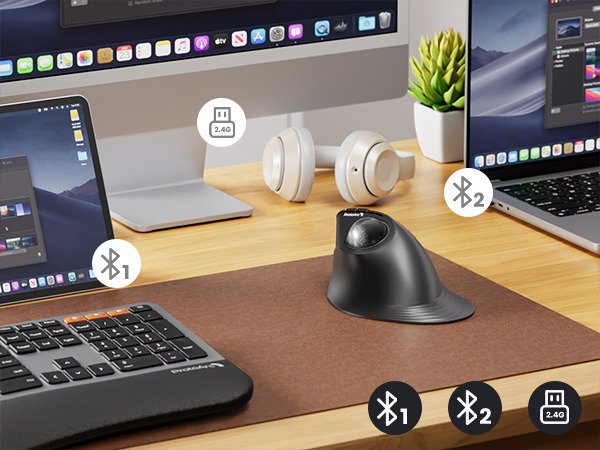 Raton Protoarc Bluetooth Vertical Trackball Negro