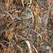EAN 8718127036421 - Buteo Photo Gear 720233 ropa para profesional de la fotografía Raincover Marrón, Camuflaje Unisex imagen 5