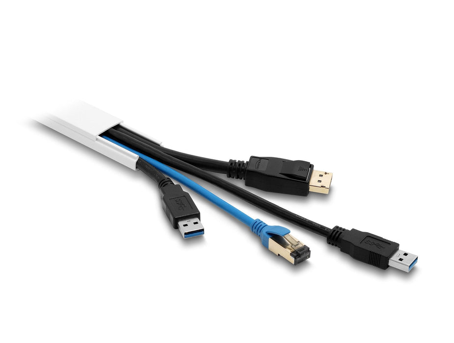 Delock Canaleta Para Cables Autoadhesivo Con Schiebedeckel 25 X 10 Mm - Longitud 1 M Pack De 5 Blanco