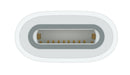 EAN 0195949442148 - Apple USB-C to Pencil Adapter Blanco 1 pieza(s) imagen 3