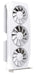 EAN 0840191503443 - XFX Mercury Radeon RX 9060 XT OC Gaming Edition AMD 16 GB GDDR6 imagen 2