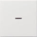 EAN 4010337290032 - GIRA 029003 accesorio de interruptor eléctrico imagen 1