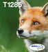 EAN 8715946638829 - Epson Fox T128 cartucho de tinta 1 pieza(s) Original Negro, Cian, Magenta, Amarillo imagen 1