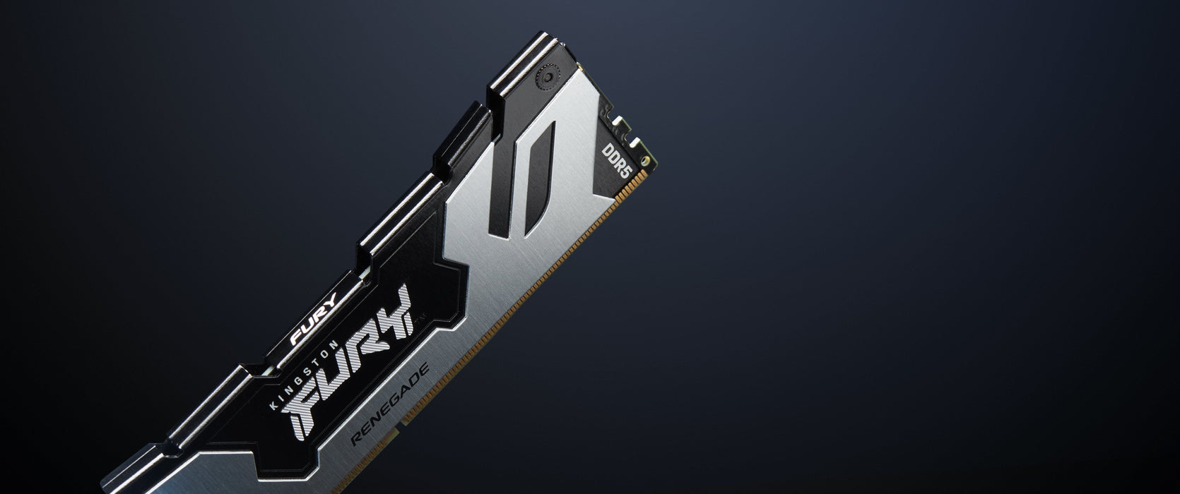 Kingston Fury Kf572c38rs-24, Memoria Ram Plateado/Negro