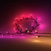 EAN 8720169246867 - Philips Hue White and Color ambiance 8720169246867 iluminación inteligente Tira de luz inteligente Blueto imagen 1