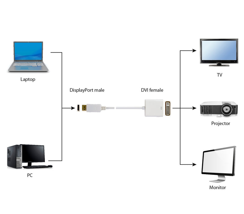 EAN 8716309078740 - Gembird A-DPM-DVIF-002-W adaptador de cable de vídeo 0,1 m DisplayPort DVI Blanco imagen 3