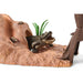 EAN 4059433573410 - schleich Vida Salvaje 42594 set de juguetes imagen 10