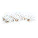 EAN 8433281004788 - Nanocable 10.21.0102-100 conector Transparente imagen 3